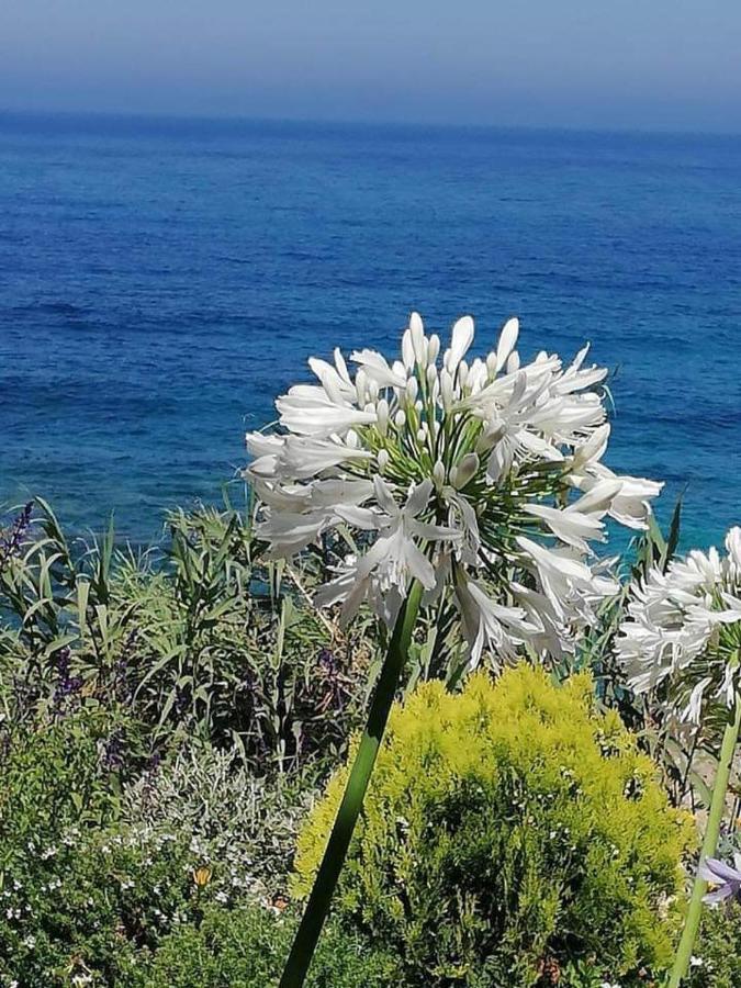 Ikaria Village-Ground Floor Apartment No 4 Klorakas 外观 照片