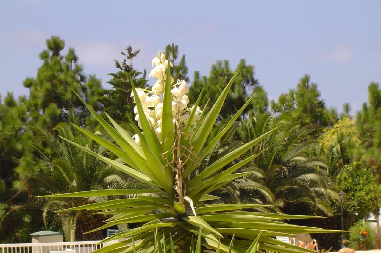Ikaria Village-Ground Floor Apartment No 4 Klorakas 外观 照片